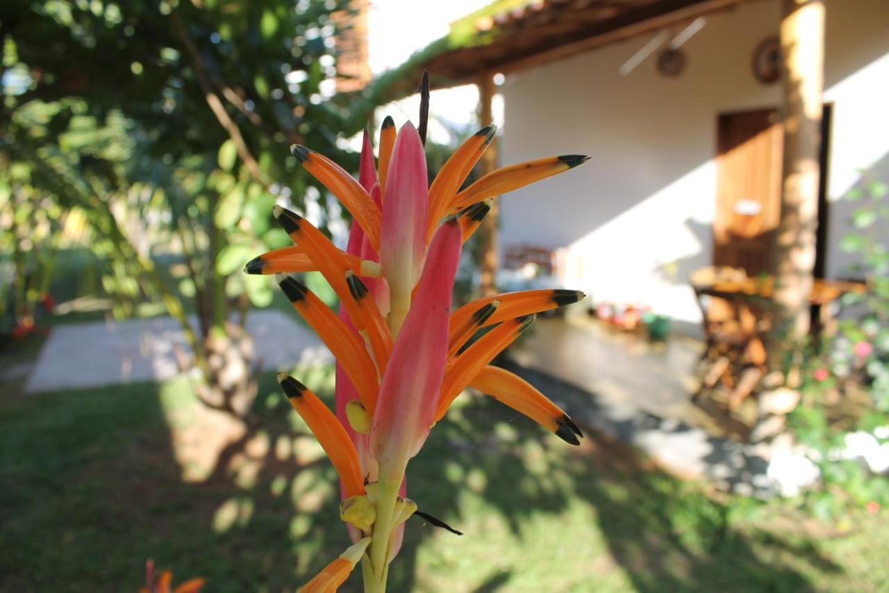 Family Guest House Velha Boipeba Zewnętrze zdjęcie