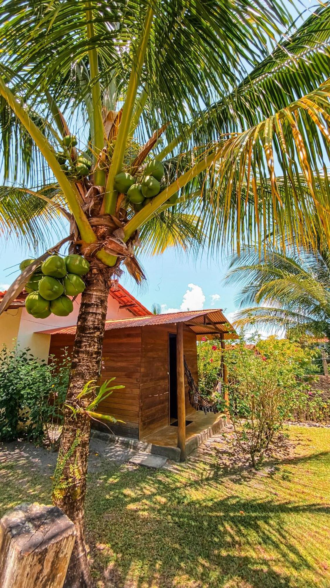 Family Guest House Velha Boipeba Zewnętrze zdjęcie